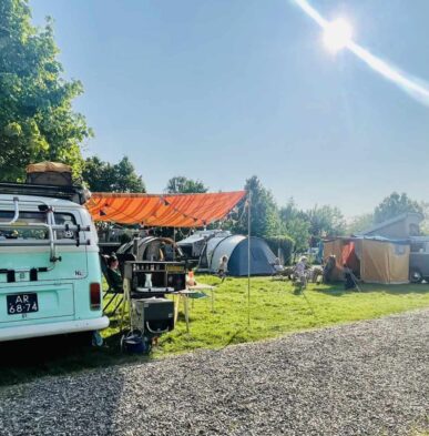 {{brizy_dc_image_alt entityId=