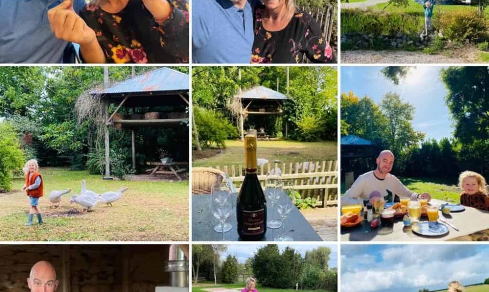 {{brizy_dc_image_alt entityId=