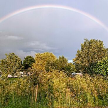 {{brizy_dc_image_alt imageSrc=