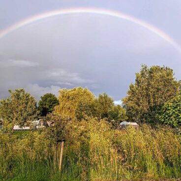 {{brizy_dc_image_alt imageSrc=