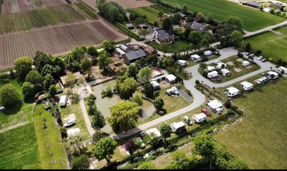 {{brizy_dc_image_alt entityId=