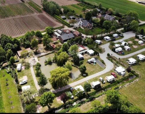 {{brizy_dc_image_alt entityId=