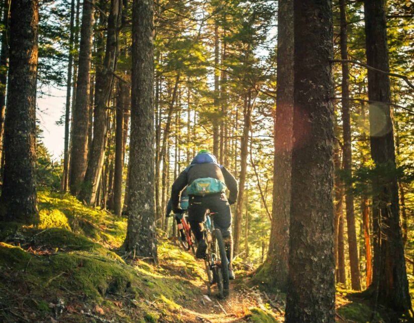 {{brizy_dc_image_alt imageSrc=